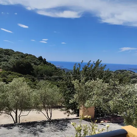 Asteras Studios Argostoli  Buitenkant foto